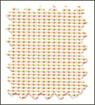 custard cream